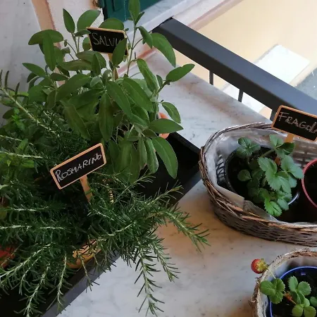 Casello68 4* Λεβάντο