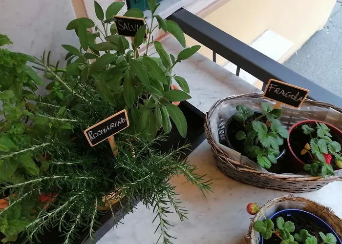 Casello68 4* Λεβάντο